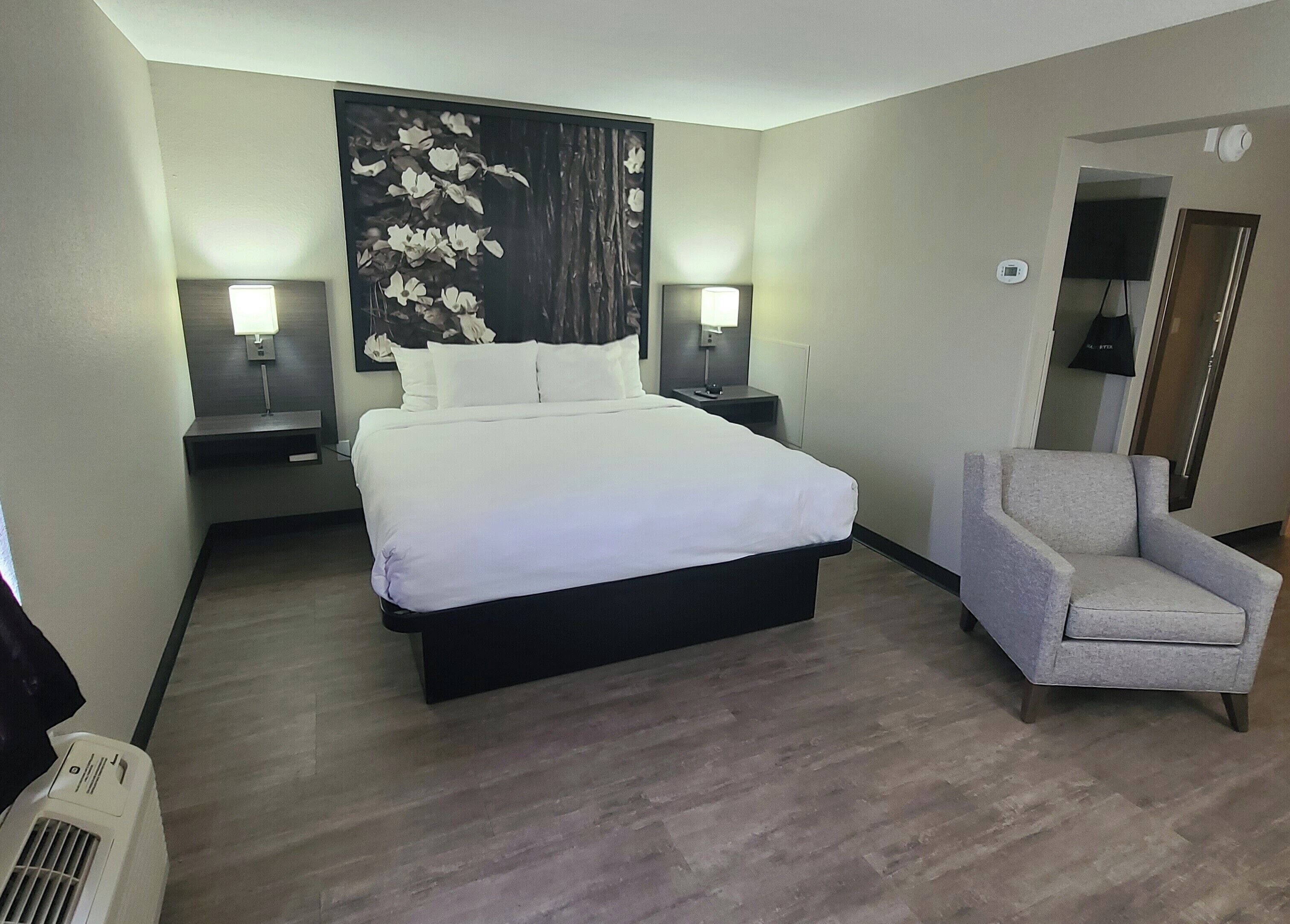Suite, 1 King Bed, Non Smoking, Jetted Tub (Single, Mini Bar ) | In-room safe, desk, laptop workspace, blackout drapes