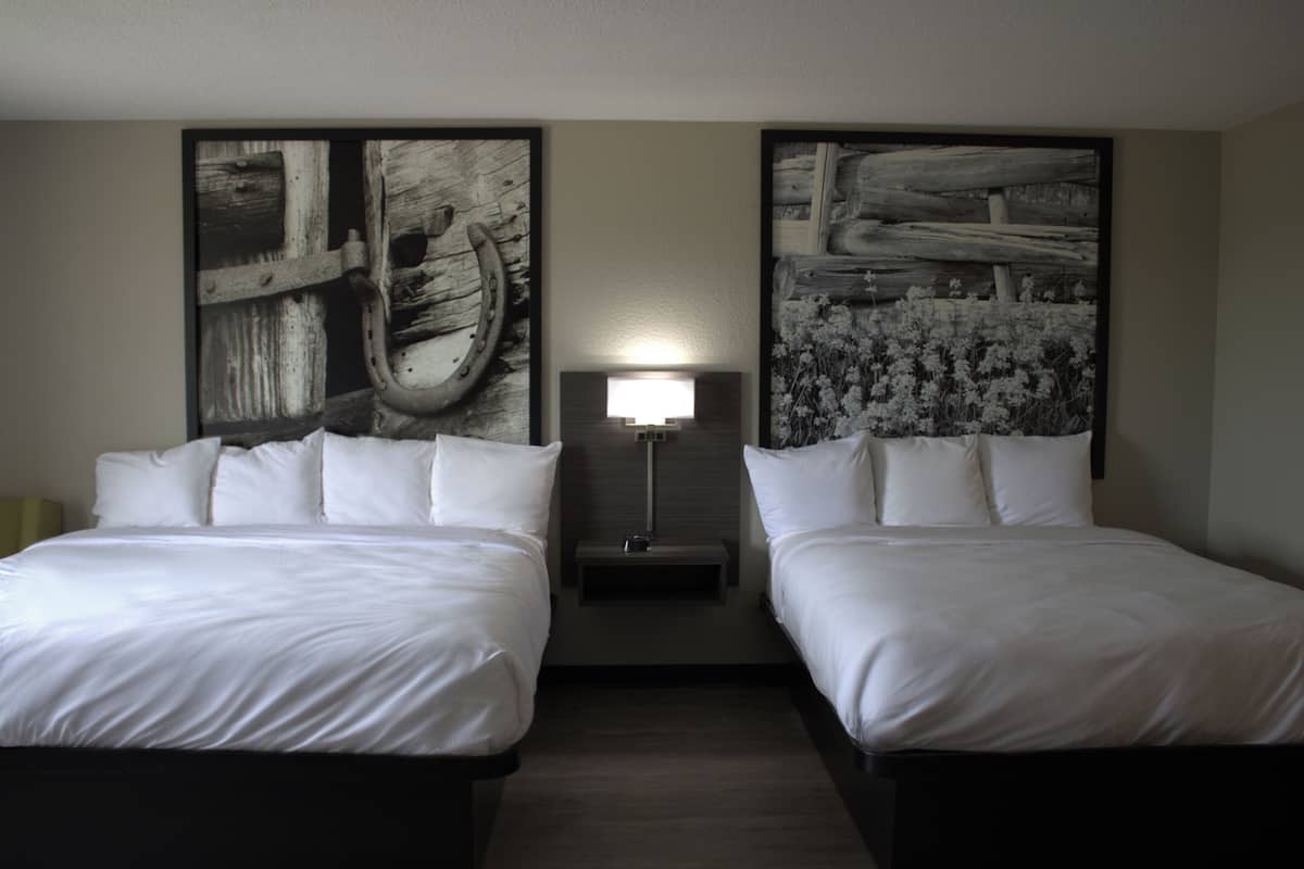 Suite studio familiale, non-fumeur, four à micro-ondes