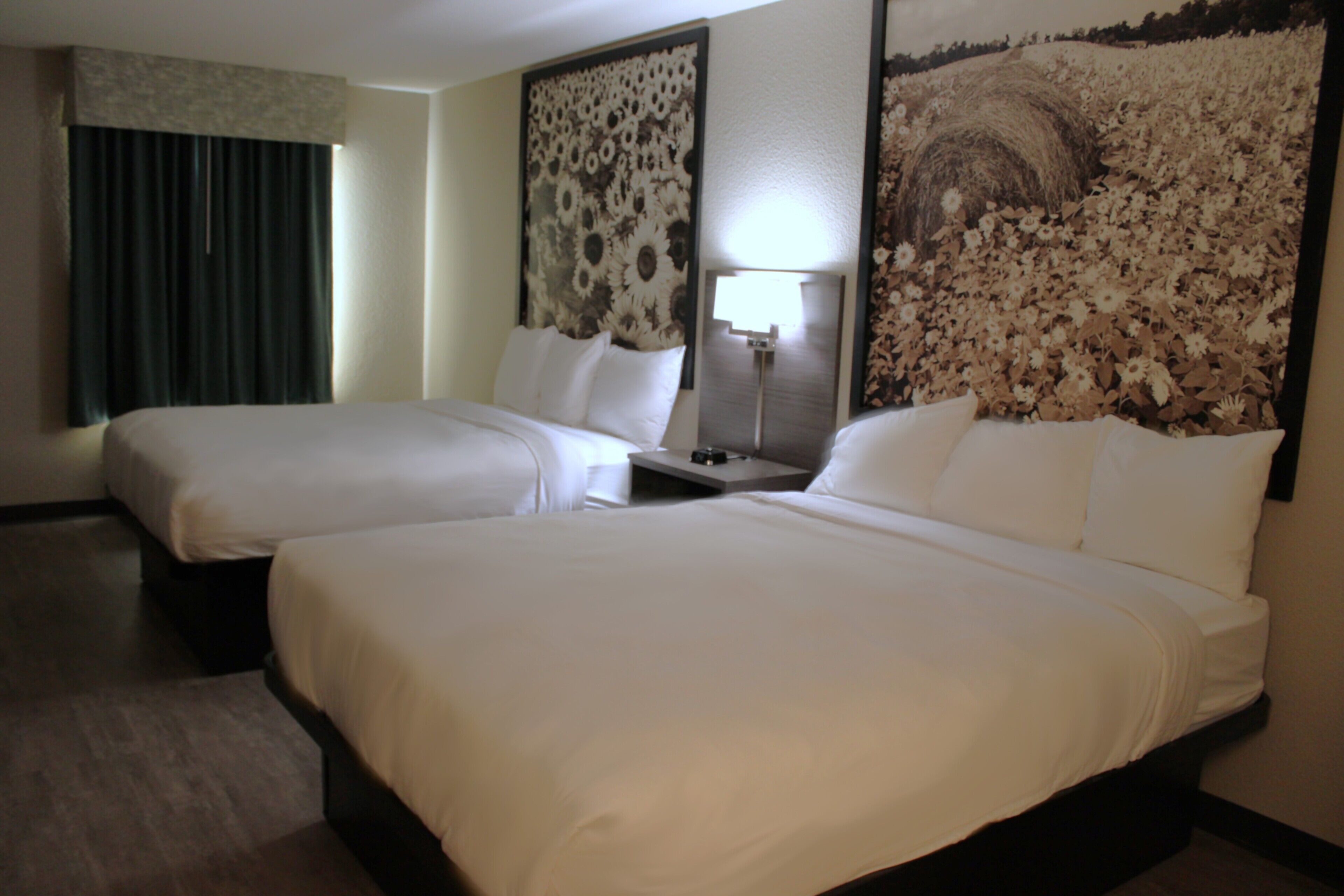 Standard Double Room, 2 Queen Beds, Non Smoking, Microwave