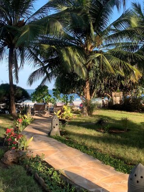 A pathway leading through a garden with palm trees and a bench. - Private beachfront villa with pool (Uroa)