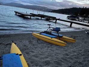 Beach nearby - Enjoy Paradise on Lake Sammamish (Bellevue)