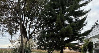 Cozy 1-bedroom in rural Illinois come relax and enjoy the tranquility.