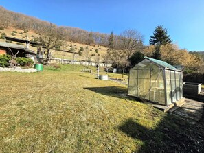 Ein Gewächshaus, eine Steinmauer und ein grasbewachsenes Feld mit Bäumen im Hintergrund.