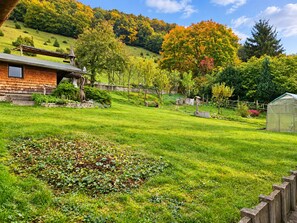 A rural landscape with a house, a greenhouse, and a variety of trees and shrubs. - Albert Apartment: Quiet Vacation Rental on the Banks of the Altmühl *Air-Conditioned* (Pappenheim)