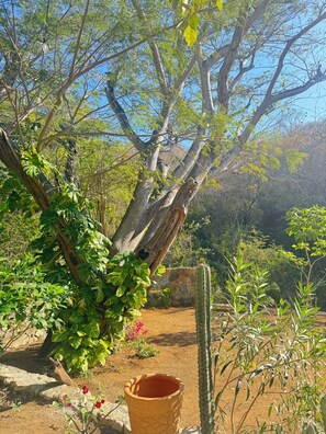 Property grounds - Casa Lucy/beach house for 8 people (La Boquilla)