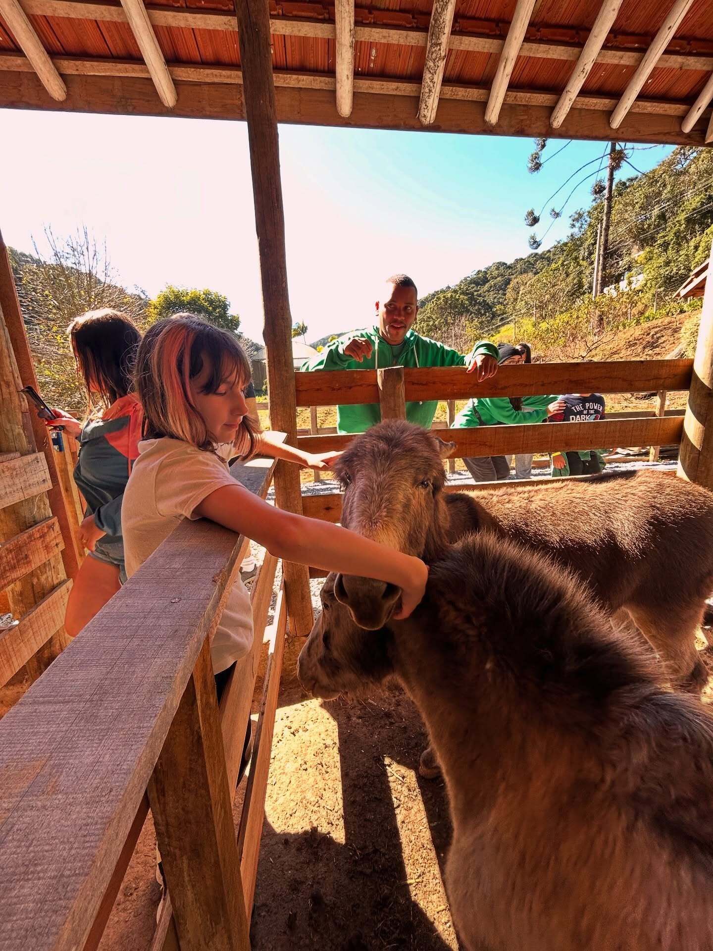A wooden fence with people petting a llama.