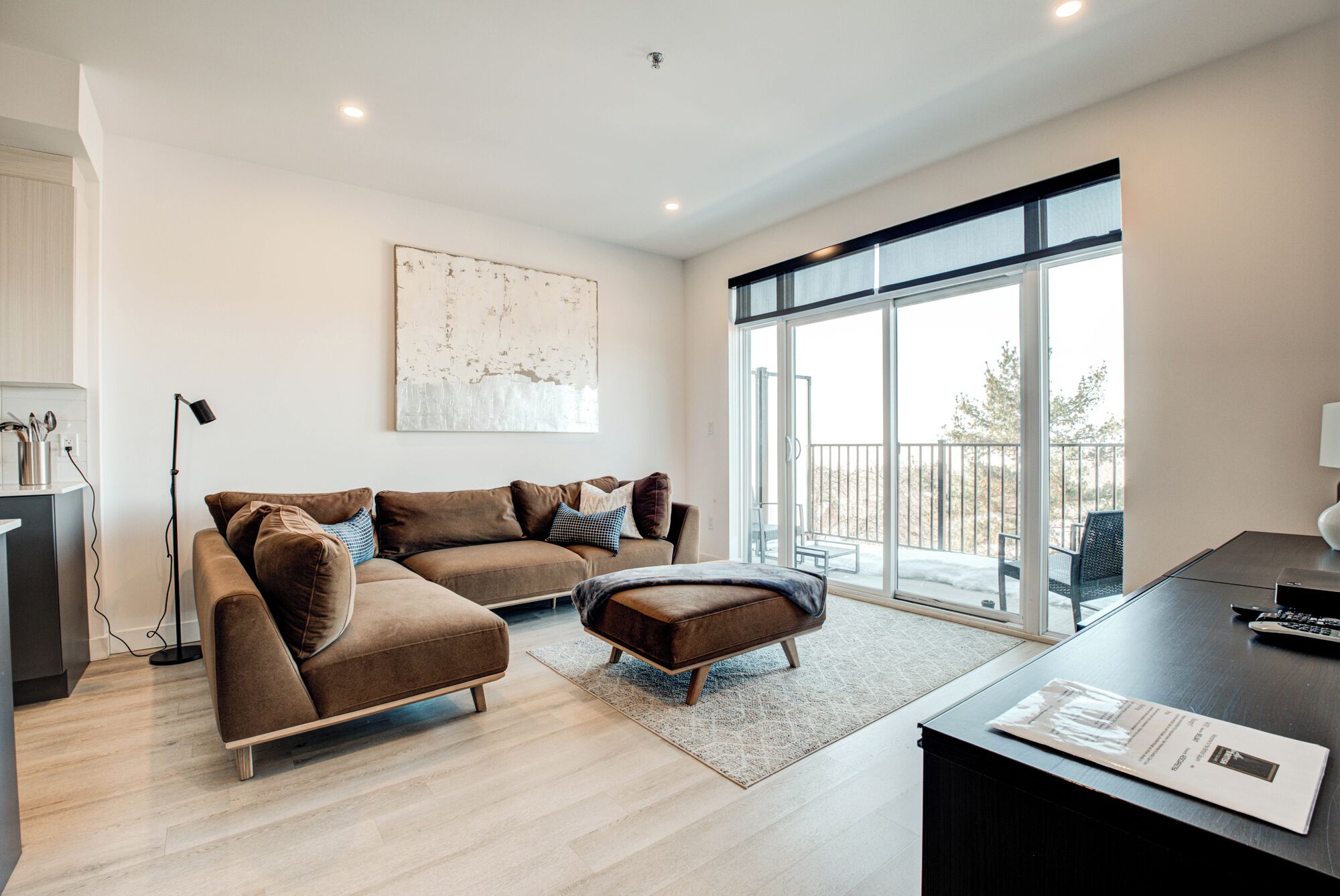 Deluxe Apartment, 2 Bedrooms, Pets Allowed, River View | Living area