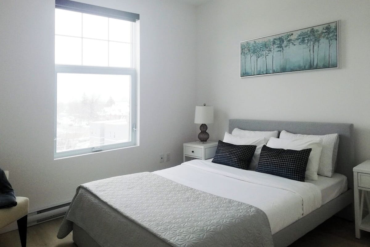 Appartement Confort, 1 chambre, animaux de compagnie acceptés, vue sur la ville | Rideaux d’obscurcissement, système d’insonorisation