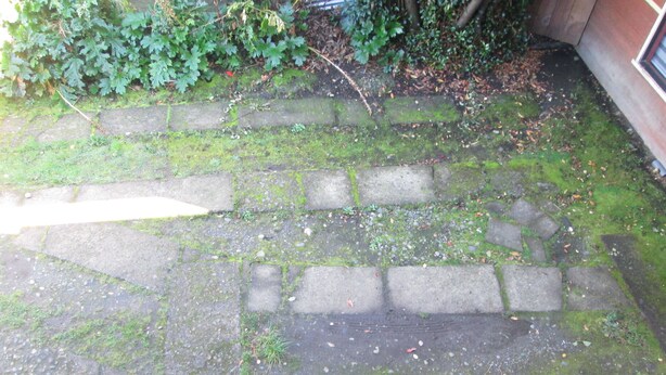 A stone pathway with moss and scattered leaves. - B5 Furnished cottage near downtown Puerto Montt (Puerto Montt)
