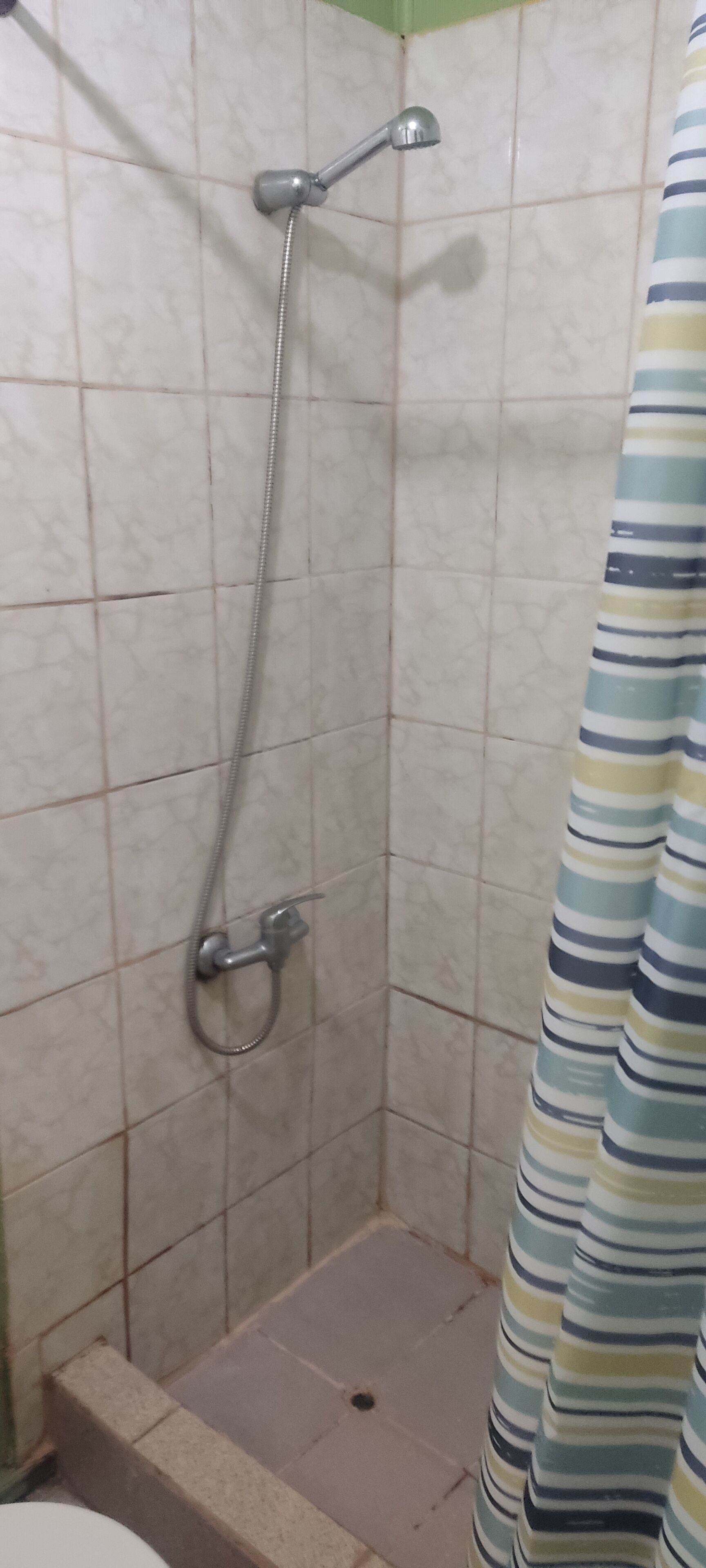 Shower, soap, toilet paper