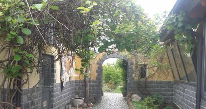 Allgäufinca Nature - Activity - Silence - Healing