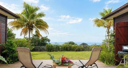 La Sérénité - AC - Terrasse - Vue mer