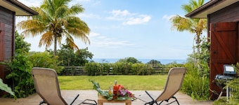 La Sérénité - Terrasse - Vue mer