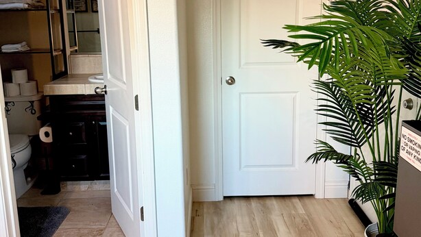Een gang met een witte deur, een plant en een houten vloer.