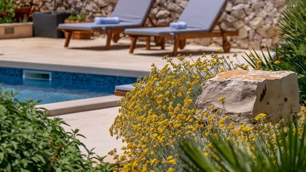 Un espace piscine agrémenté de chaises longues, d’un mur en pierre et de plantes à fleurs jaunes.