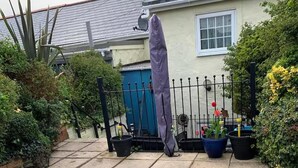 A garden with a stone pathway, a blue gate, and potted plants. - Bumble Cottage - Parking - Pet - Garden - Sleeps 4 (Ilfracombe)