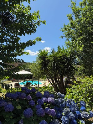 A pool area with lounge chairs, surrounded by lush greenery and hydrangea flowers. - Casa das Mós - Rural house with swimming pool and mountain views (Amarante)