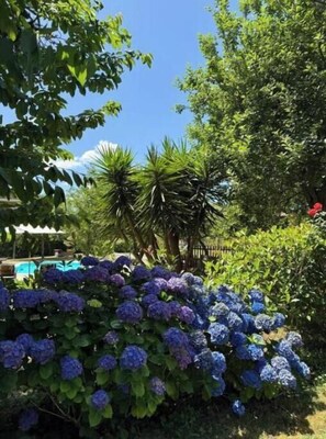 A garden with hydrangea bushes, a pool, and various trees. - Casa das Mós - Rural house with swimming pool and mountain views (Amarante)