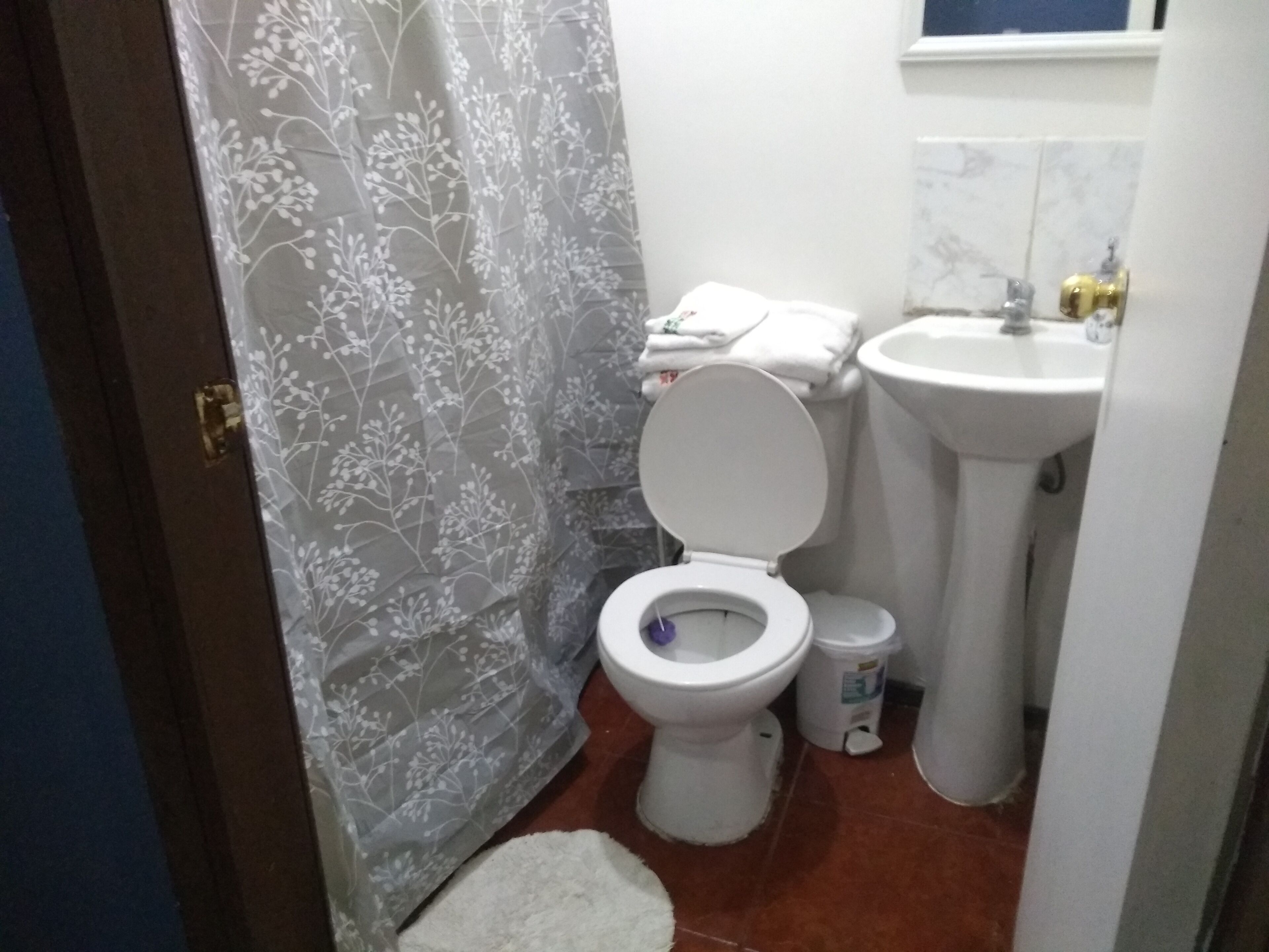 A bathroom with a toilet, sink, and a patterned shower curtain.