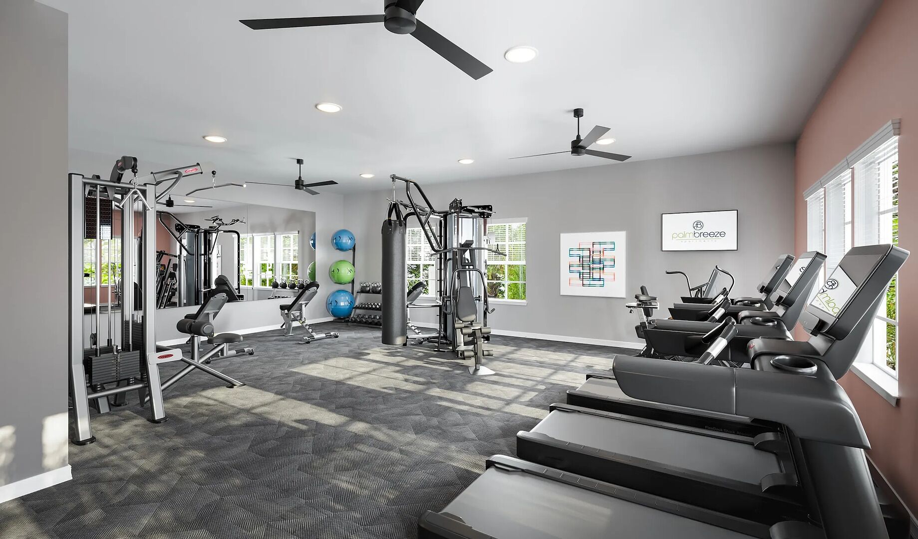 A modern gym with cardio equipment, weight machines, and exercise balls.