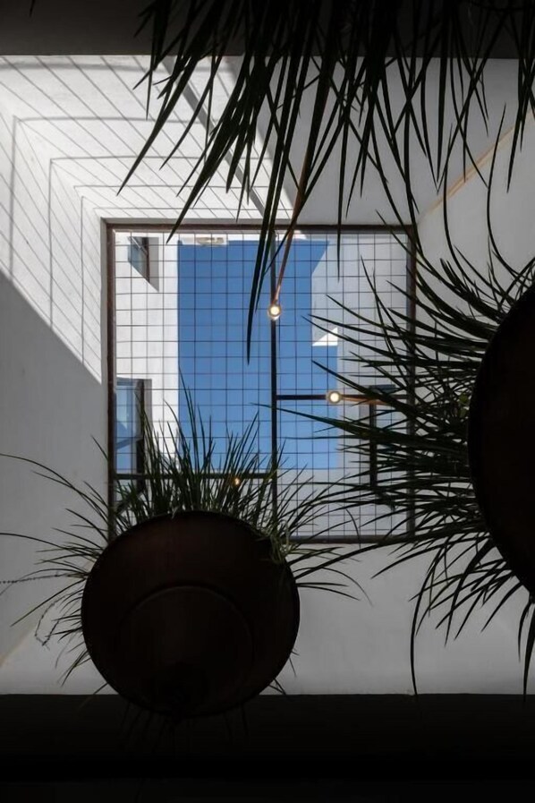 Una habitación con un ventanal grande, una planta en maceta y una lámpara colgante.