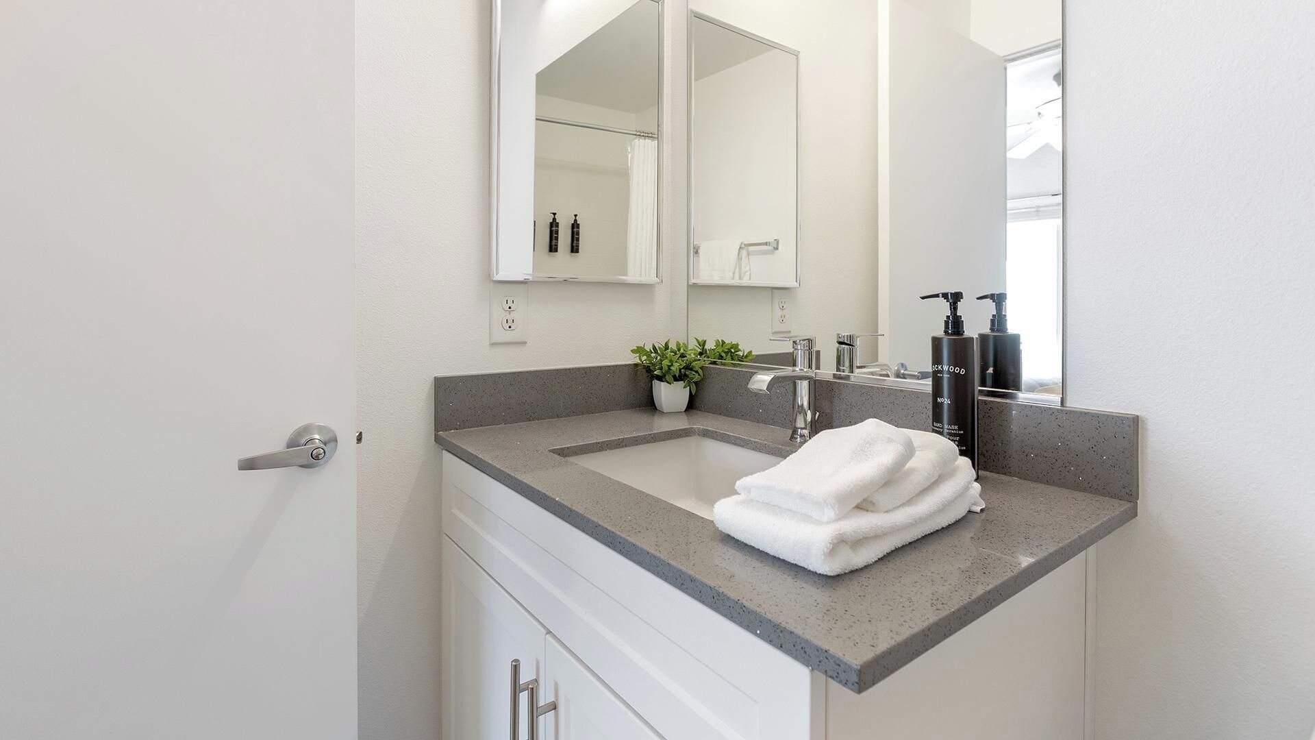 Un baño moderno con encimera de granito, lavamanos, espejo y una planta en maceta.