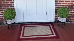A white front door with a glass panel, flanked by two potted plants on stands, and a red and beige doormat.