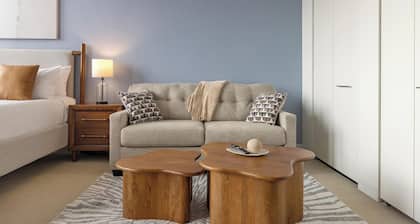 Landing | Modern Studio, Gym