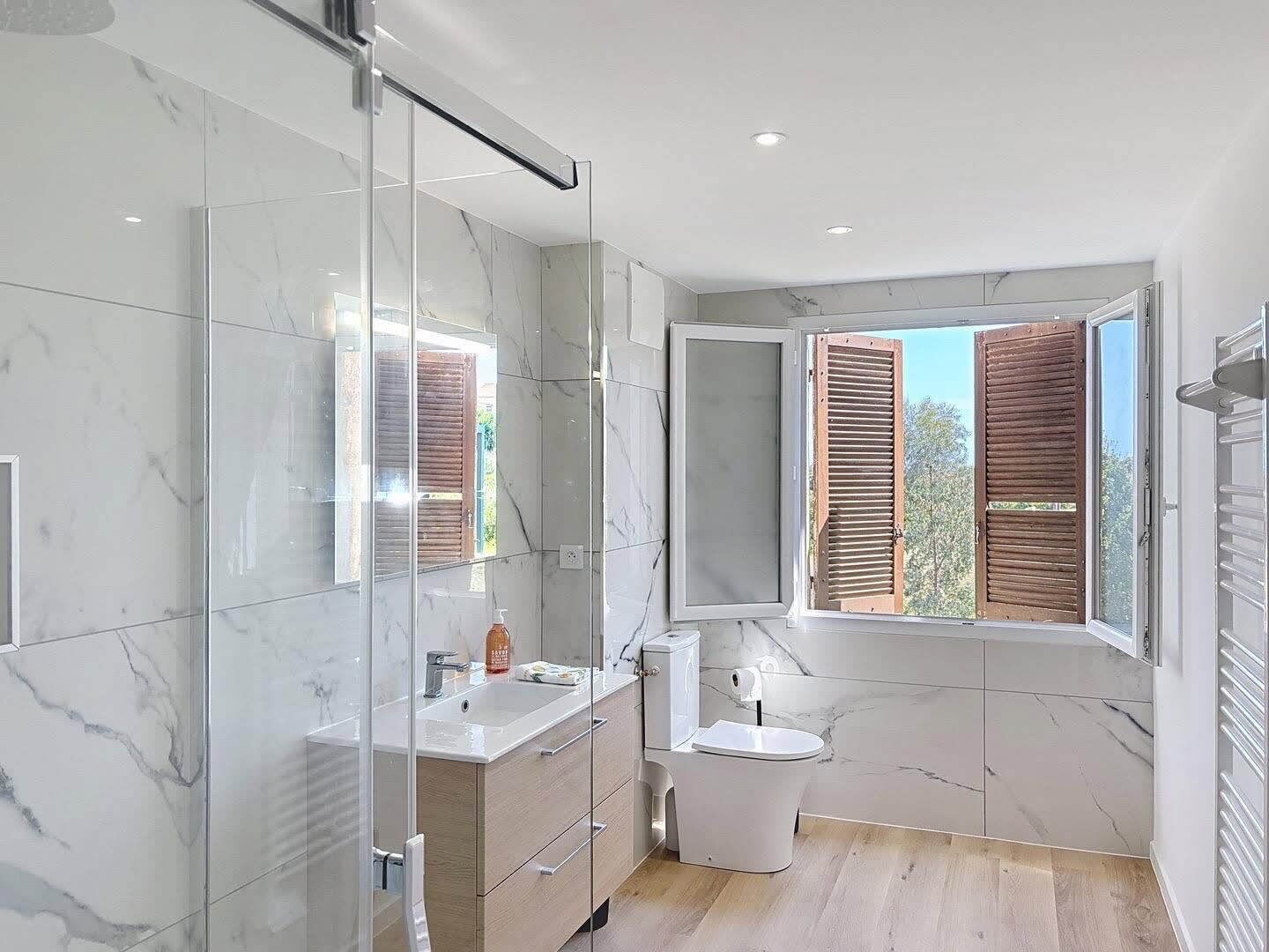 Shower, hair dryer, towels