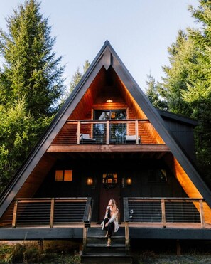 Exterior - Mt. Rainier A-Frame | Cedar Hot Tub | White Pass (Packwood)