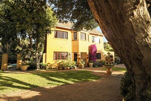A yellow building with a brick pathway, potted plants, and a tree. - Room-sunbird Room Double Room With poo (Cape Town)