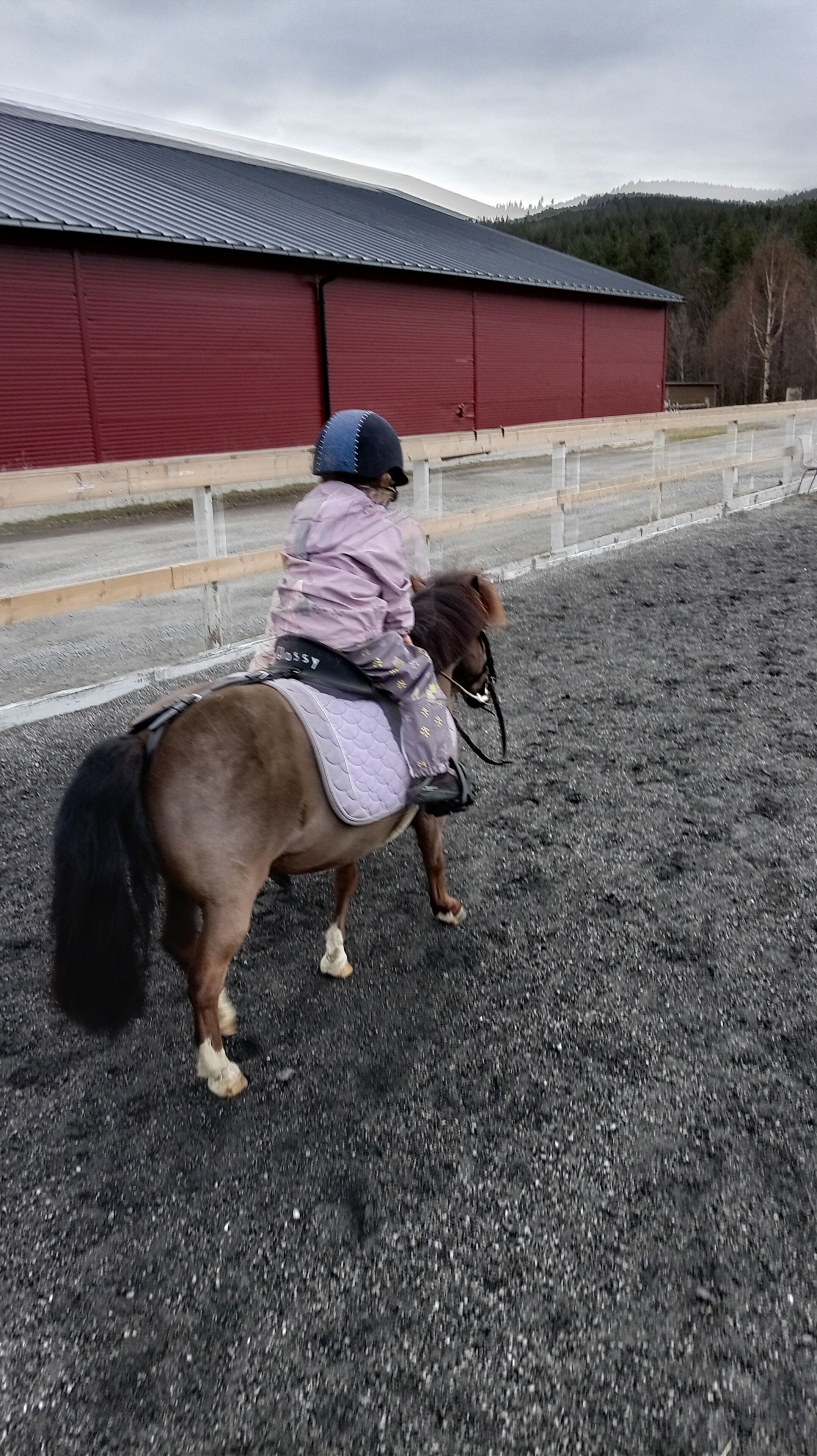 A person riding a horse in an outdoor area with a red building in the background.