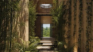 A pathway flanked by bamboo and climbing plants leading to a large arched window with a view of greenery.