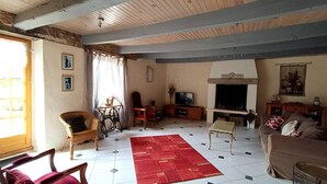 Ein Wohnzimmer mit Kamin, Fernseher und einem roten Teppich.