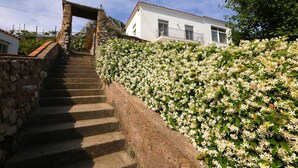 A stone staircase leading to a white building with a balcony, surrounded by a wall of white flowers. - Casa Floriana Seaview - Panoramic Terrace in Capri (Capri)