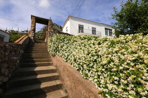 Property grounds - Casa Floriana Seaview - Panoramic Terrace in Capri (Capri)