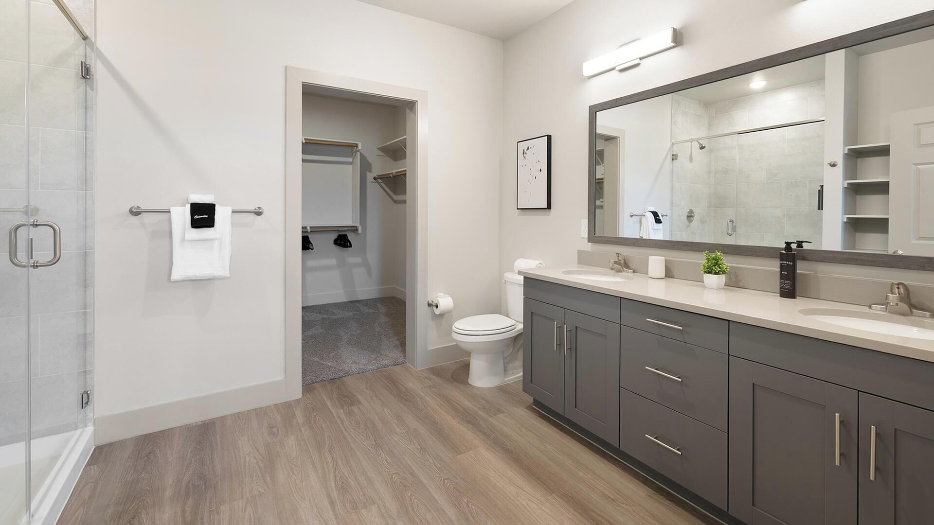 A modern bathroom with a walk-in shower, a toilet, a sink with a large mirror, and a dark-colored vanity.