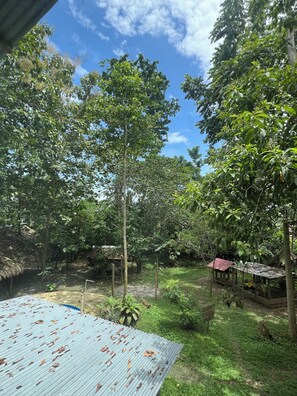 A garden with a corrugated metal roof and a wooden structure. - La Granja de Lara Lodge in Changuinola, Bocas del Toro. Just a few minutes from downtown (Provincia de Bocas del Toro)