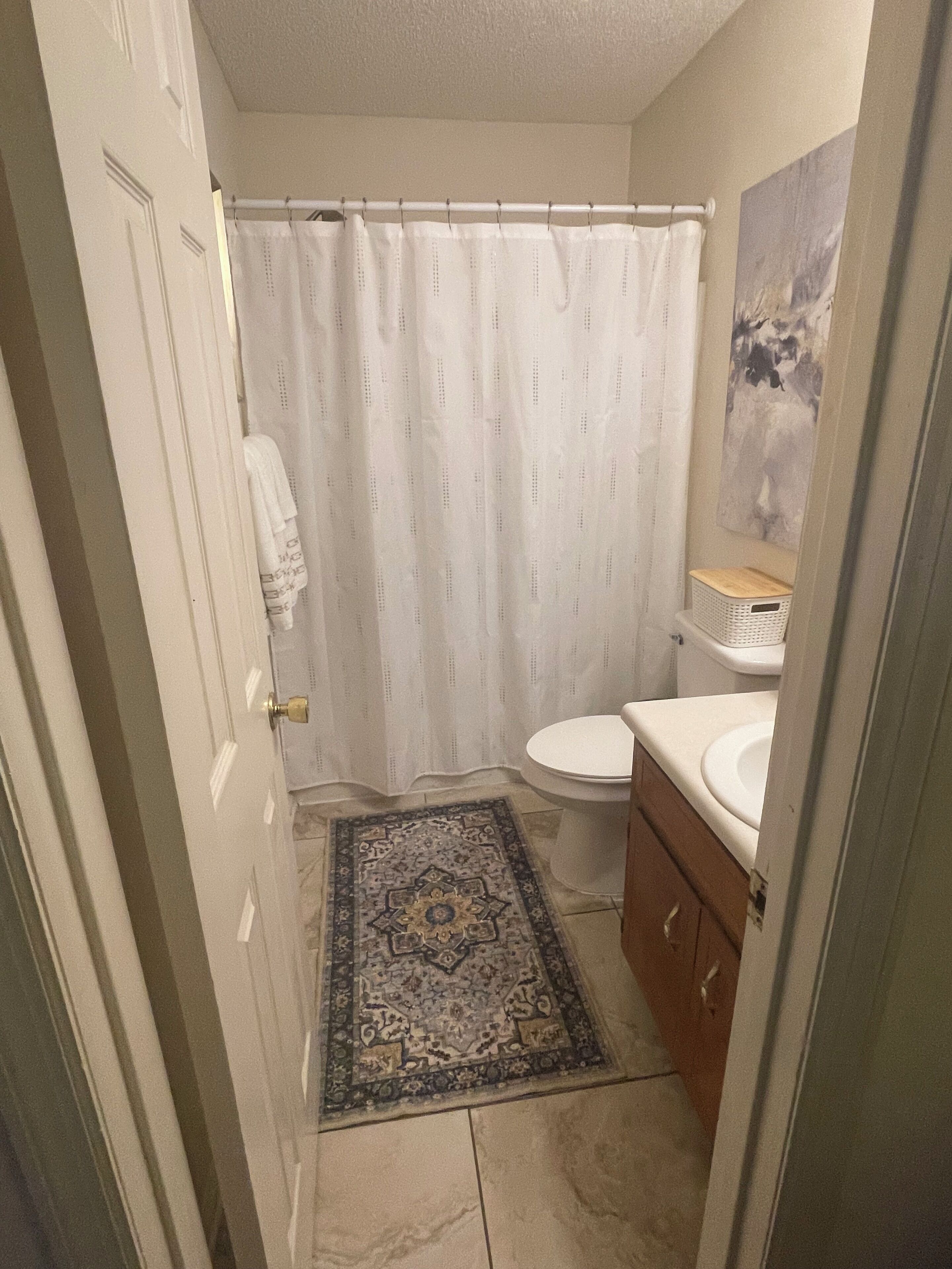 Shower, hair dryer, bidet, towels