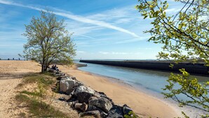 A beach with a rocky shoreline, a tree, and a calm body of water. - The Happy House - Welkeys (Saint-Georges-d'Oléron)