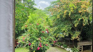 Ein Garten mit verschiedenen Pflanzen und einer hölzernen Bank.