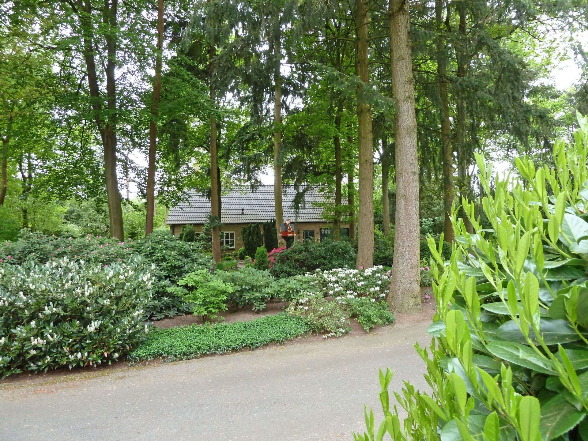 Terrein van de accommodatie