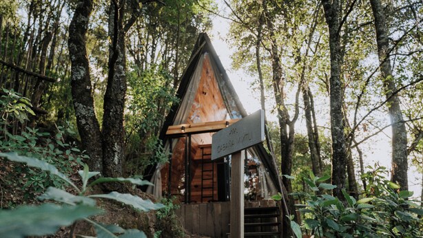 Uma cabana de madeira com telhado triangular, rodeada por uma floresta densa.
