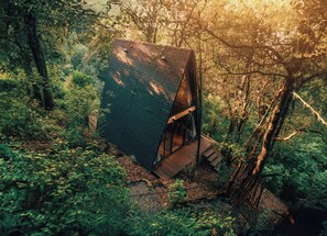 Cabin, Mountain View | Exterior