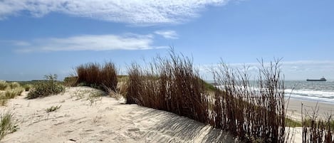 海灘
