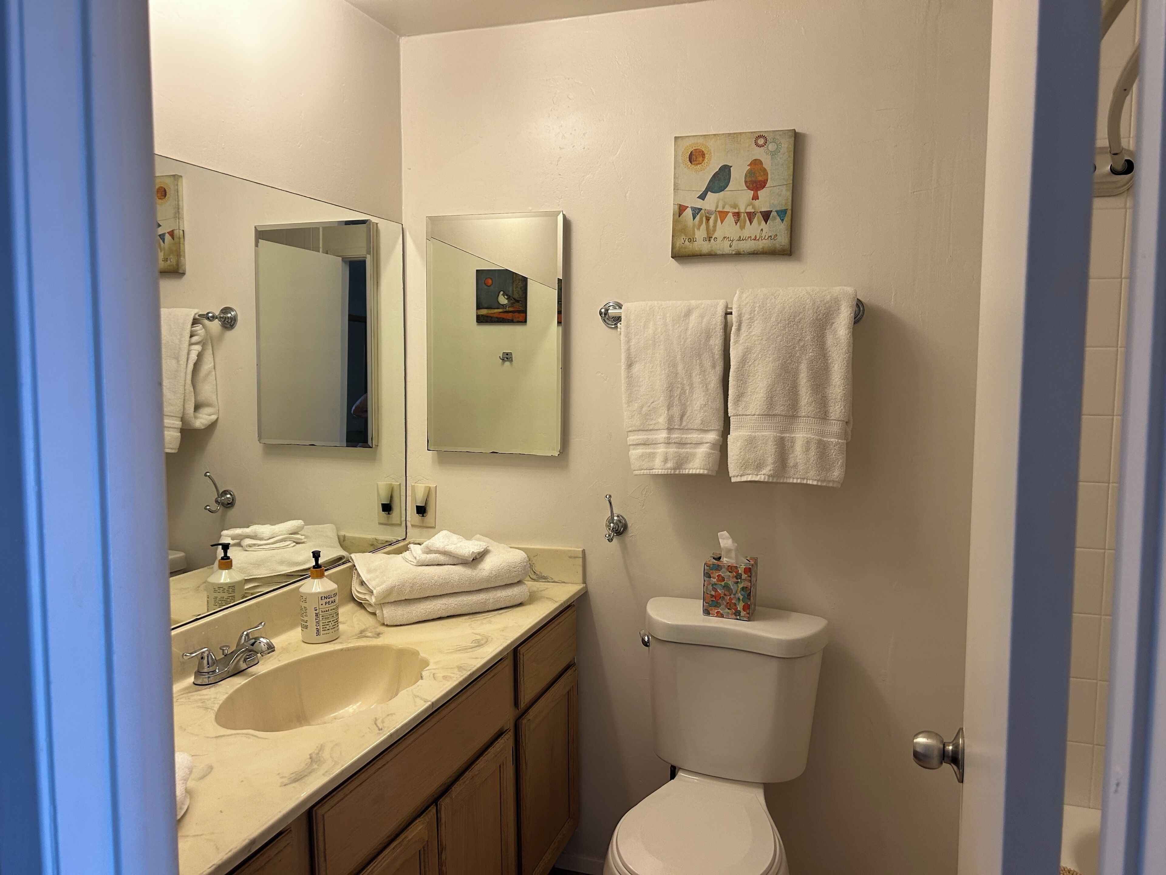 Hair dryer, towels, soap, toilet paper