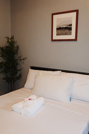 Habitació doble Comfort, 1 llit doble, bany privat