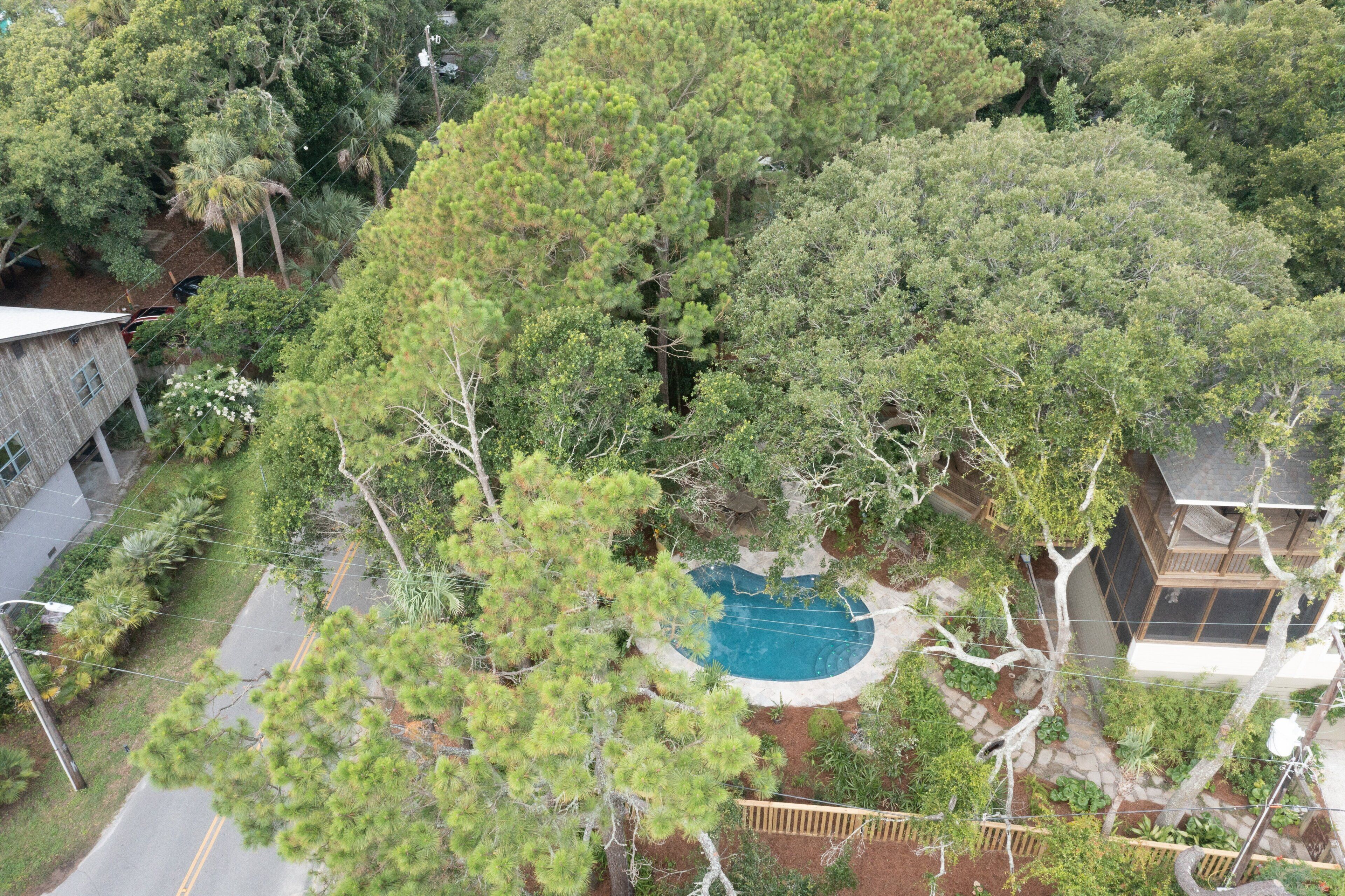 A residential area with a swimming pool surrounded by trees, a paved road, and a wooden deck.