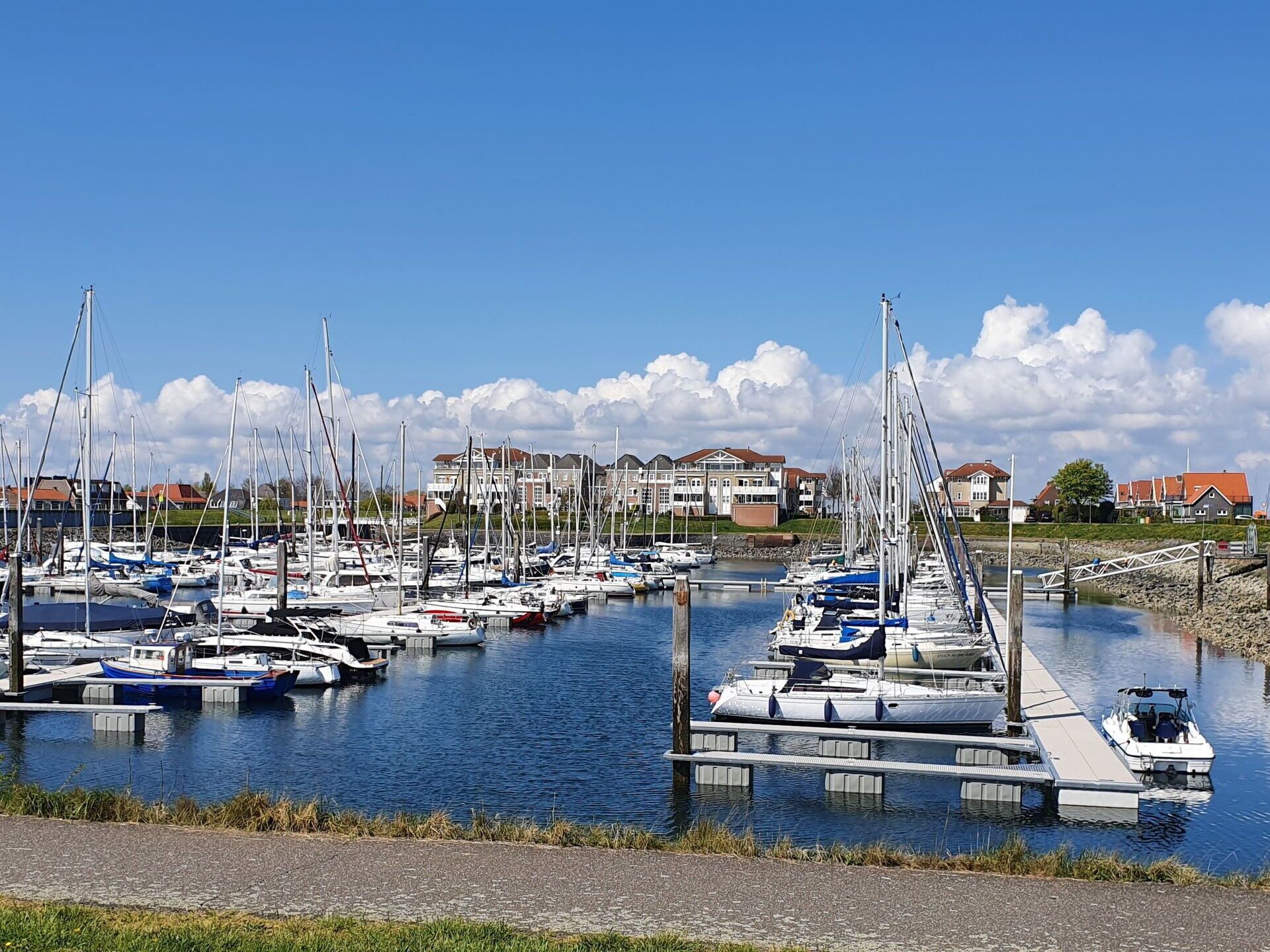 A marina with numerous boats docked, a clear sky, and residential buildings in the background.