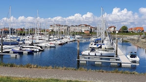 Ein Yachthafen mit zahlreichen vertäuten Booten, einem klaren Himmel und Wohnhäusern im Hintergrund.